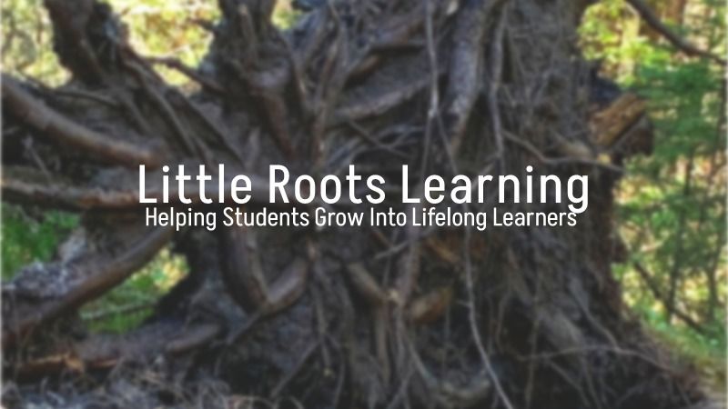 Little Roots Learning Homeschool Hall Tutors Coaches